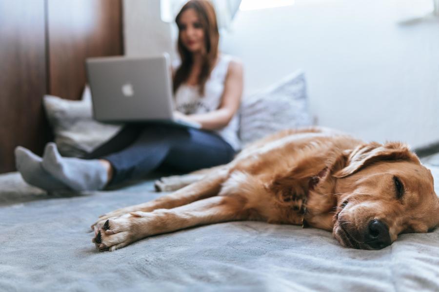 Work Hard, Sleep Hard this Labor Day